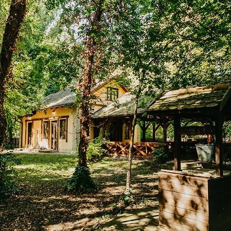 Forest House Palić Εξωτερικό φωτογραφία