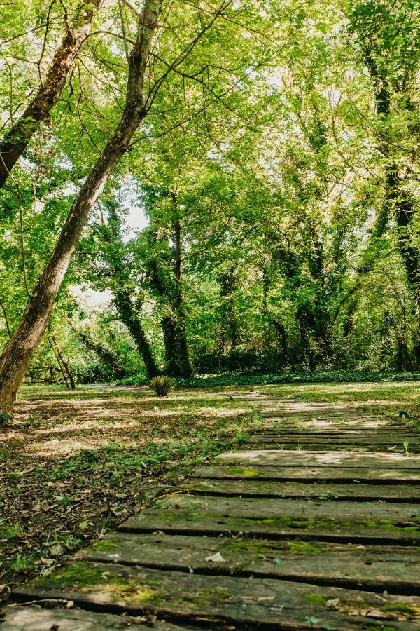 Forest House Palić Εξωτερικό φωτογραφία