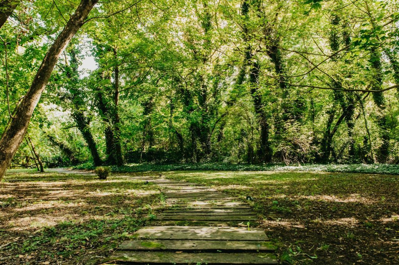 Forest House Palić Εξωτερικό φωτογραφία