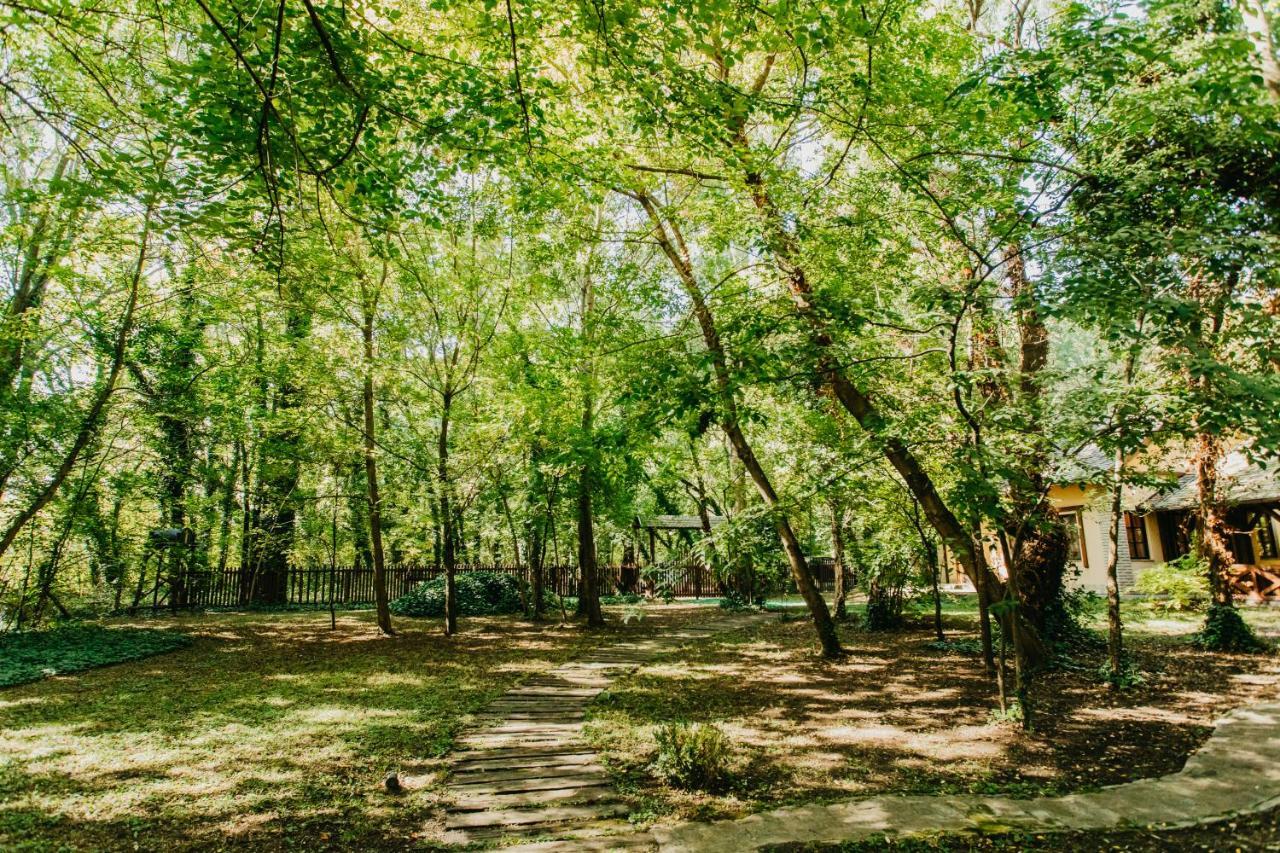 Forest House Palić Εξωτερικό φωτογραφία