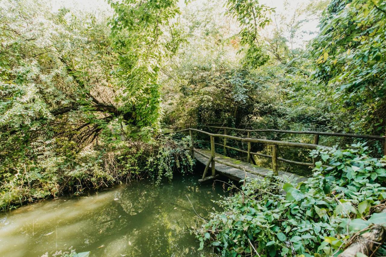 Forest House Palić Εξωτερικό φωτογραφία