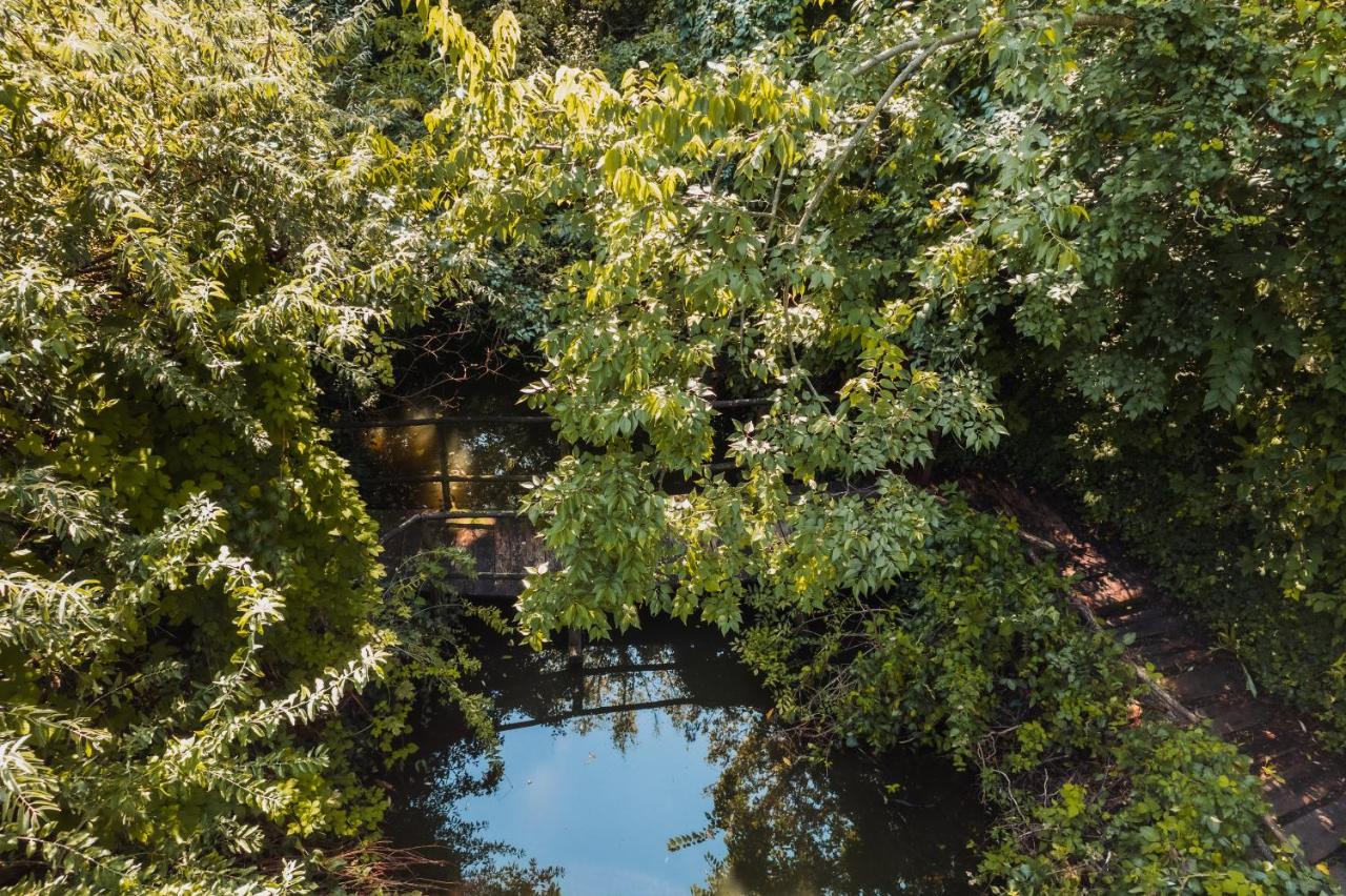 Forest House Palić Εξωτερικό φωτογραφία