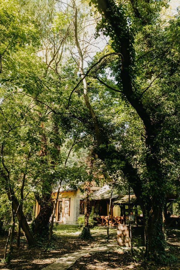 Forest House Palić Εξωτερικό φωτογραφία
