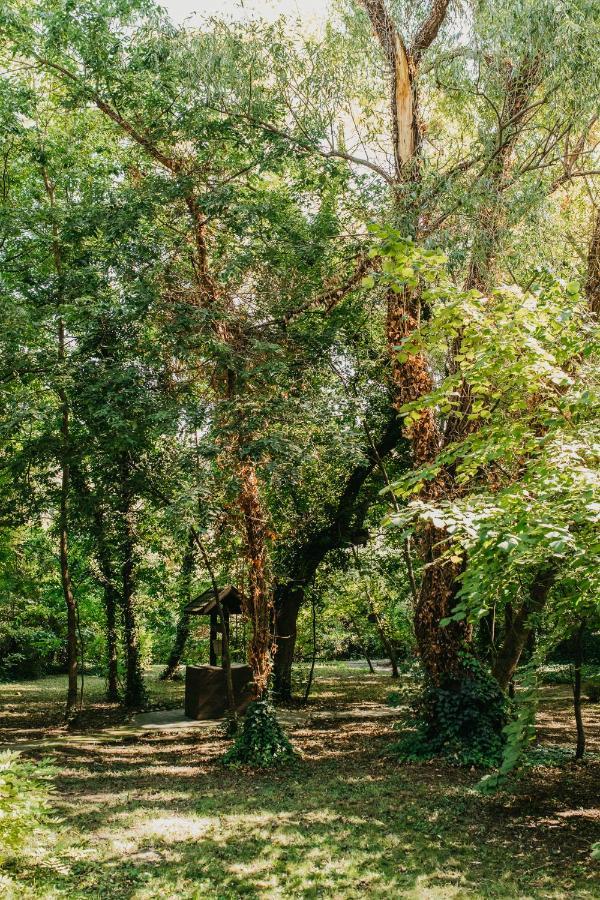 Forest House Palić Εξωτερικό φωτογραφία